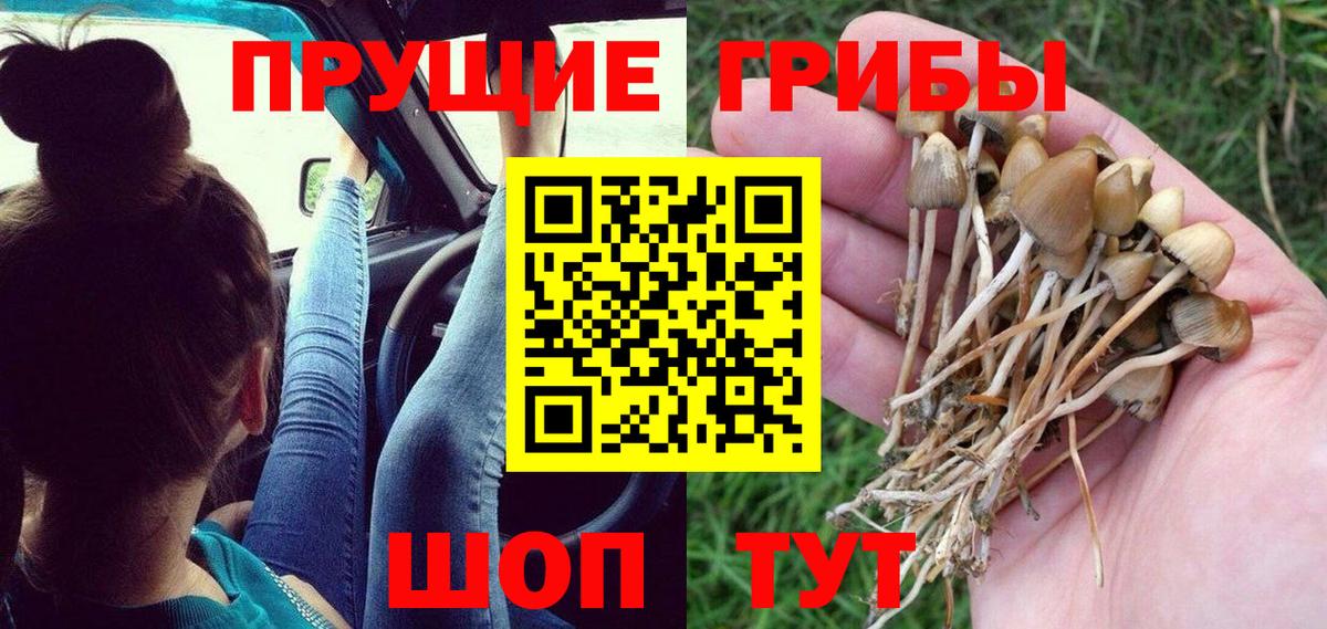 Псилоцибиновые грибы мицелий  Вход с VPN  Балабаново 